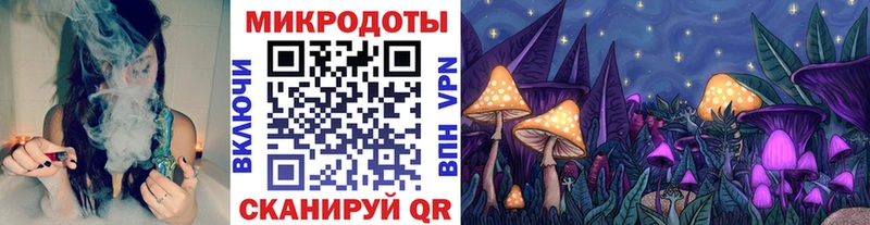 Галлюциногенные грибы Psilocybine cubensis  наркотики  Горно-Алтайск 